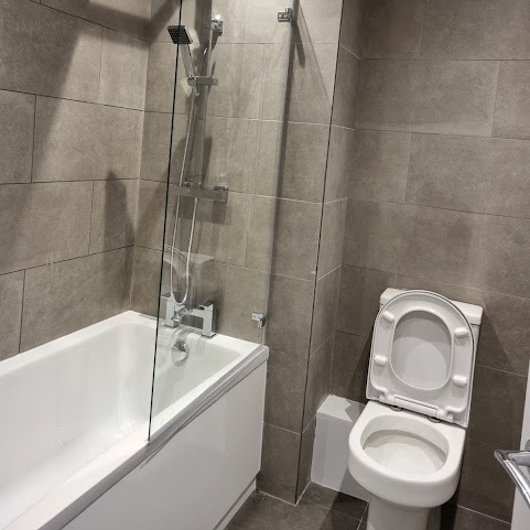 toilet renocation